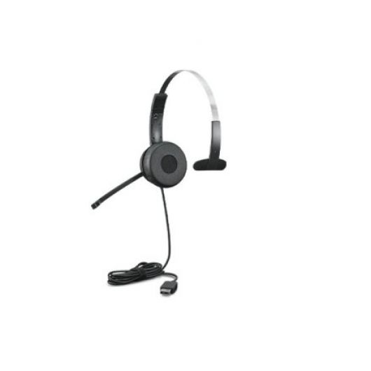 Lenovo 100 Mono Auricular USB Cable 1.8m Negro