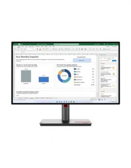 Lenovo ThinkVision P27h-30 LED display 68.6 cm (27') 2560 x 1440 Pixeles Quad HD LCD Negro