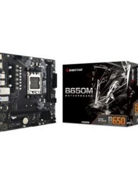 Placa Base Biostar B650MT