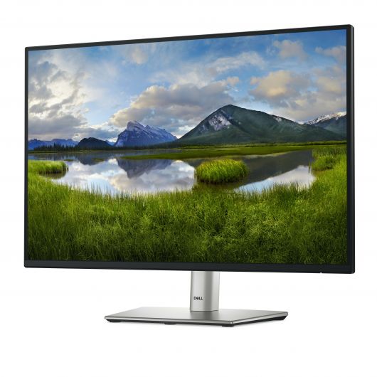 DELL P Series P2425 Monitor 61.1 cm (24 DELL P Series P2425 Monitor 61.1 cm (24.1') 1920 x 1200 Pixeles WUXGA LCD Negro