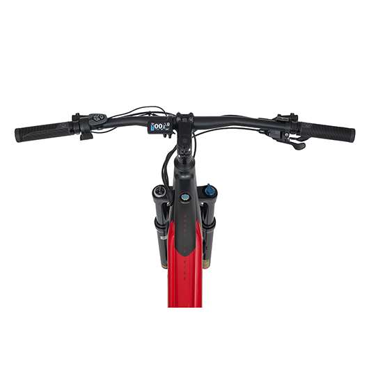 Ecobike RX500 19 Pro 17.5Ah Bicicleta Eléctrica de Montaña