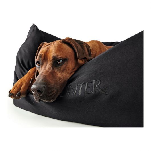 Sofá para Perro Hunter Gent Antibacteriano Negro 60 x 45 cm 6 Sofá para Perro Hunter Gent Antibacteriano Negro 60 x 45 cm