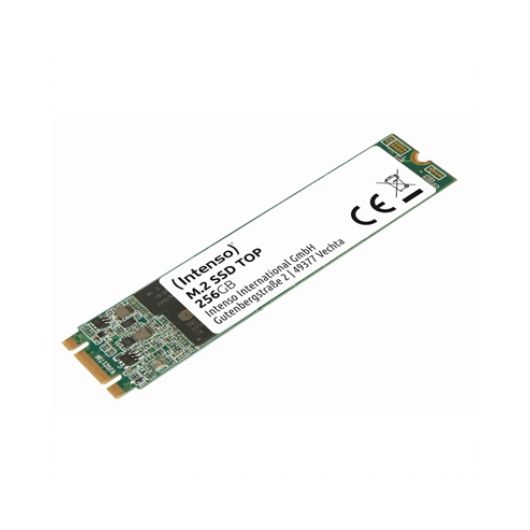 Disco duro interno solido SSD Intenso top 256GB m.2 sata3