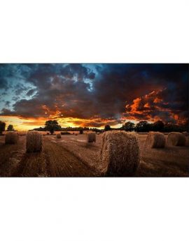 Samsung LH46VMBUBGBXEN pantalla mural de vídeo 46’ LCD Interior