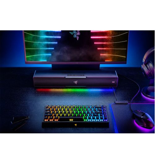 Razer Leviathan V2 Negro 65 W 2 Razer Leviathan V2 Negro 65 W