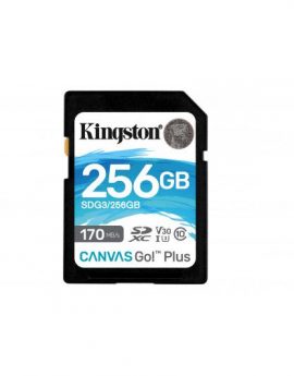 Kingston Technology Canvas Go! Plus memoria flash 256GB SD Clase 10 UHS-I - SDG3/256GB