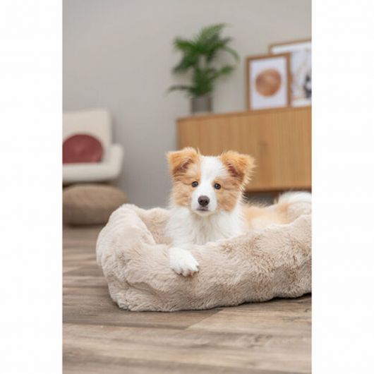 Cama para perro Trixie Elli Arena 120 × 80 cm 4 Cama para perro Trixie Elli Arena 120 × 80 cm