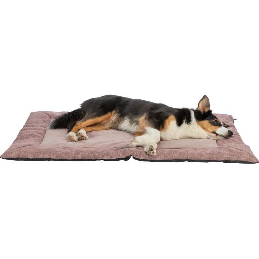 Colchoneta para Perro Trixie Viviana Rosa 120 × 80 x 4 cm 4 Colchoneta para Perro Trixie Viviana Rosa 120 × 80 x 4 cm
